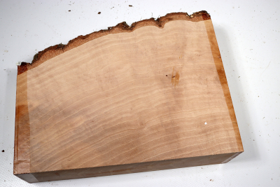 Hornbeam Burl 240x200x65mm - GestBu0630