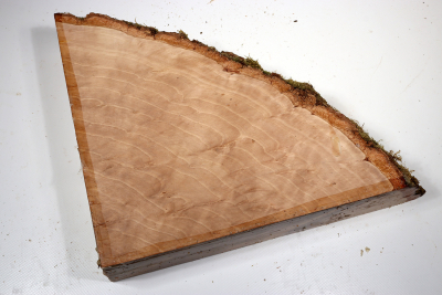 Hornbeam Burl 290x240x65mm - GestBu0634