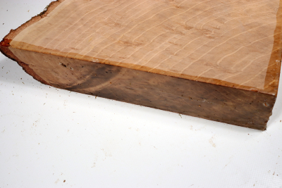 Hornbeam Burl 290x240x65mm - GestBu0634