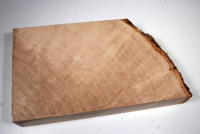 Hornbeam Burl 320x190x65mm - GestBu0628