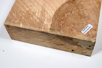 Hornbeam Burl 320x190x65mm - GestBu0628
