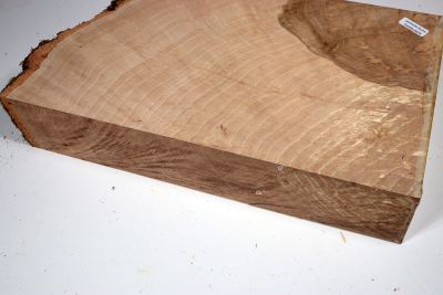 Hornbeam Burl 320x190x65mm - GestBu0628