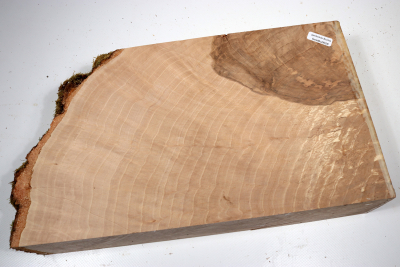 Hornbeam Burl 320x190x65mm - GestBu0628