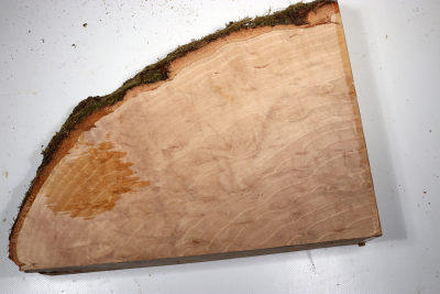 Hornbeam Burl 350x280x65mm - GestBu0635