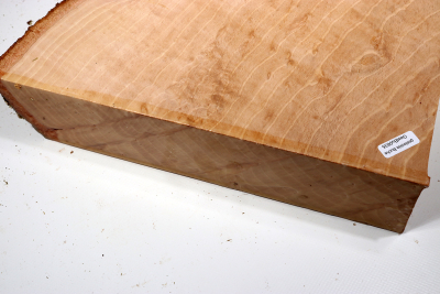 Hornbeam Burl 350x280x65mm - GestBu0635