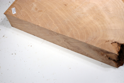 Hornbeam Burl 350x280x65mm - GestBu0635