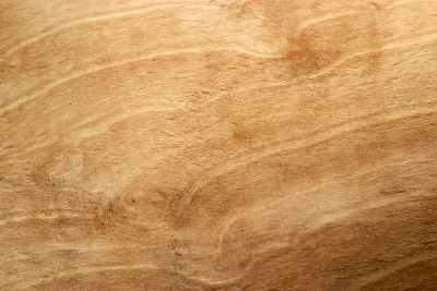Hornbeam Burl 380x220x65mm - GestBu0624