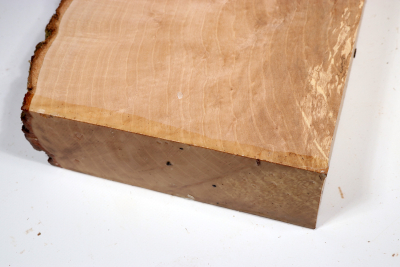 Hornbeam Burl 380x220x65mm - GestBu0624