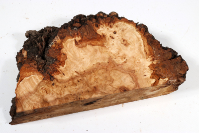 Linden Tree Burl 200x120x58mm - LinM0175
