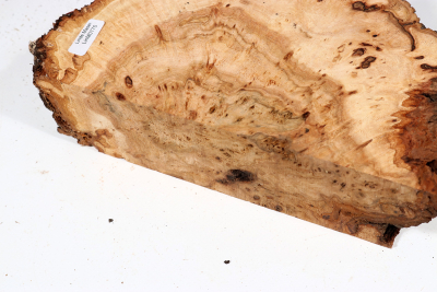 Linden Tree Burl 200x120x58mm - LinM0175