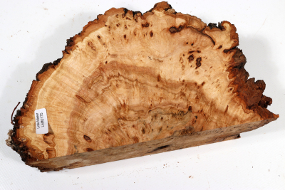 Linden Tree Burl 200x120x58mm - LinM0175