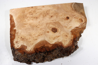 Linden Tree Burl 265x180x48mm - LinM0132