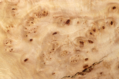 Linden Tree Burl 265x180x48mm - LinM0132