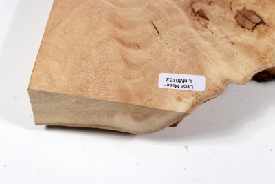 Linden Tree Burl 265x180x48mm - LinM0132