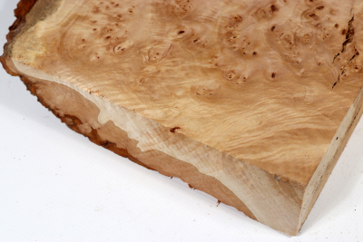 Linden Tree Burl 265x180x48mm - LinM0132