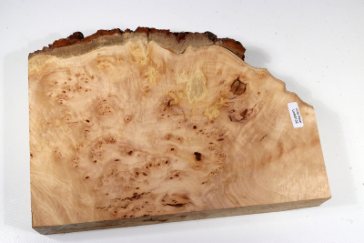 Linden Tree Burl 265x180x48mm - LinM0132