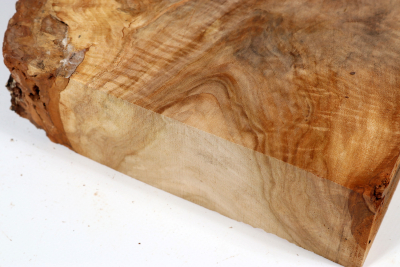 Linden Tree Burl 270x200x60mm - LinM0184