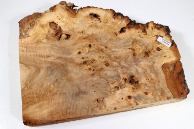 Linden Tree Burl 270x200x60mm - LinM0184