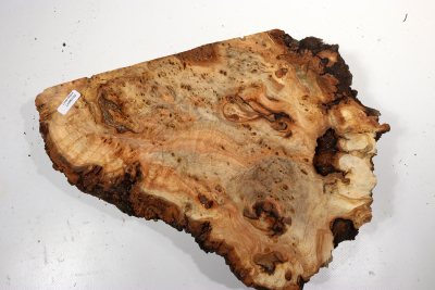 Linden Tree Burl 300x240x60mm - LinM0192