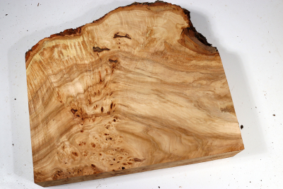 Linden Tree Burl 300x280x60mm - LinM0158