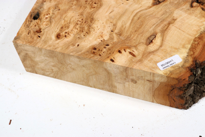 Linden Tree Burl 300x280x60mm - LinM0158