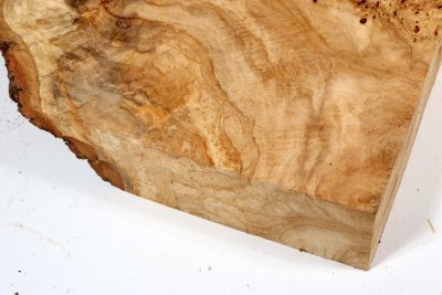 Linden Tree Burl 300x280x60mm - LinM0158