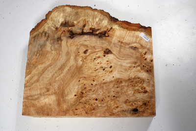 Linden Tree Burl 300x280x60mm - LinM0158