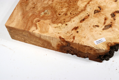 Linden Tree Burl 300x290x60mm - LinM0152
