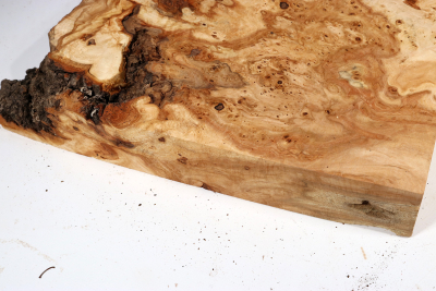 Linden Tree Burl 300x290x60mm - LinM0152
