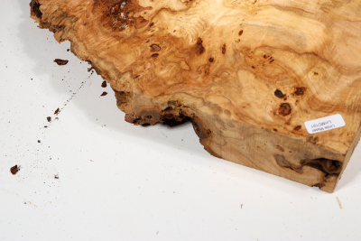 Linden Tree Burl 330x230x55mm - LinM0191