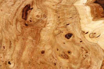 Linden Tree Burl 340x210x57mm - LinM0163