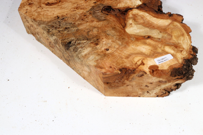 Linden Tree Burl 340x210x57mm - LinM0163