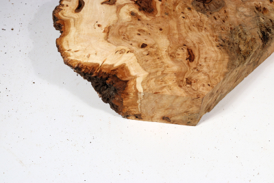 Linden Tree Burl 340x210x57mm - LinM0163