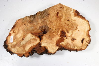 Linden Tree Burl 340x210x57mm - LinM0163