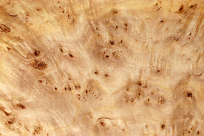 Linden Tree Burl 340x260x45mm - LinM0134