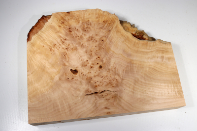 Linden Tree Burl 340x260x45mm - LinM0134