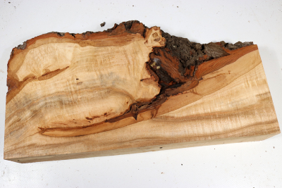 Linden Tree Burl 350x190x55mm - LinM0179