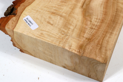 Linden Tree Burl 350x190x55mm - LinM0179