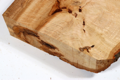 Linden Tree Burl 350x190x55mm - LinM0179