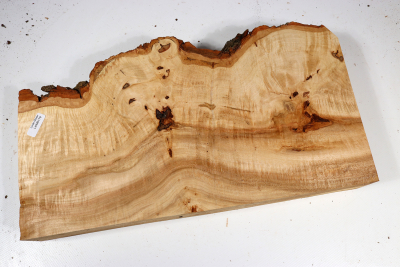 Linden Tree Burl 350x190x55mm - LinM0179