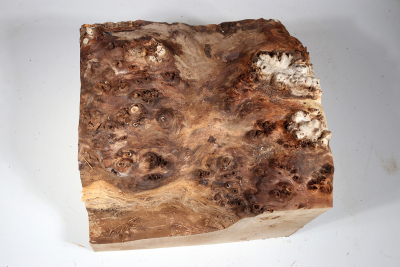 Poplar Burl 260x230x200mm- PapM0265