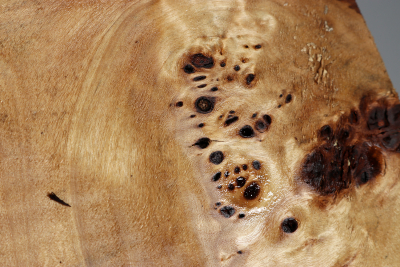 Poplar Burl 260x230x200mm- PapM0265