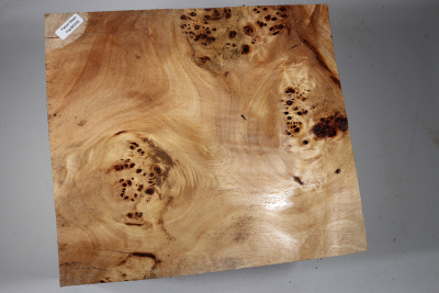 Poplar Burl 260x230x200mm- PapM0265