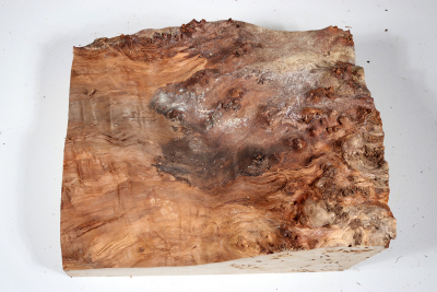 Poplar Burl 280x225x140mm- PapM0261