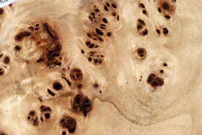 Poplar Burl 280x225x140mm- PapM0261