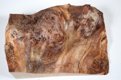 Poplar Burl 290x180x140mm- PapM0250