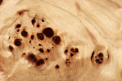 Poplar Burl 290x180x140mm- PapM0250