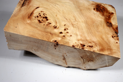 Poplar Burl 290x180x140mm- PapM0250