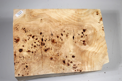 Poplar Burl 290x210x160mm- PapM0251