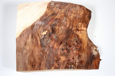 Poplar Burl 300x230x120mm- PapM0256